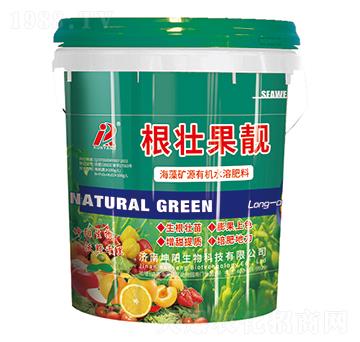 ���ѹ��n-�������