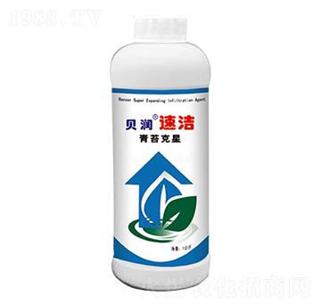 ��̦����-ؐ��(r��n)�ٝ�-ɭ