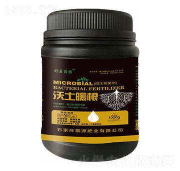 ����ů��-�݃|�r(n��ng)