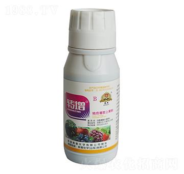 �D(zhu��n)ɫ������ɫ��-�D(zhu��n)��B-(li��n)�ջ��W(xu��)