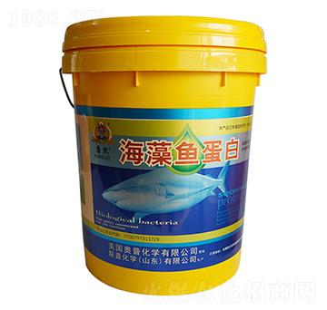 �����~����-�ջ��W