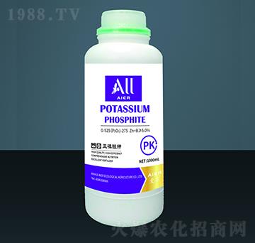 �������-�۠����B(t��i)