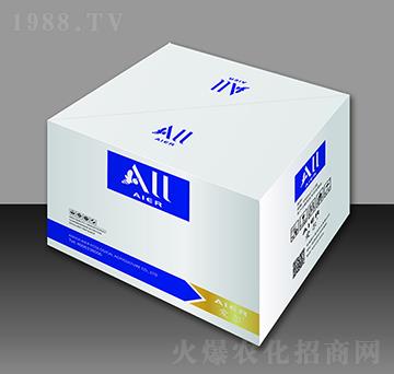 �~���-�۠����B(t��i)