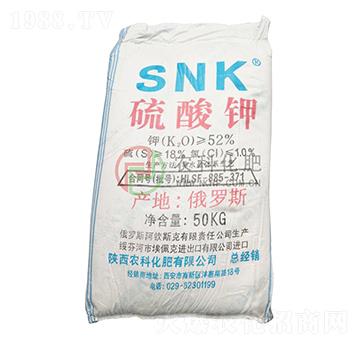 SNK�����-�r(n��ng)�ƻ���