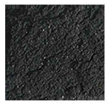 ��ֲ�ḯ�{-��?yu��n)W�Ƽ�