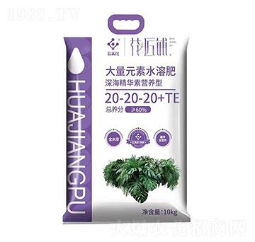����A�ؠI�B(y��ng)�ʹ���Ԫ��ˮ�ܷ�20-20-20+TE-�����-���V