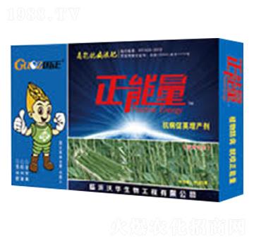 ���ǌ��ÿ������v���a(ch��n)��