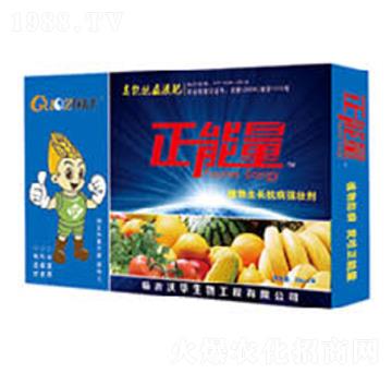 �V�V��ֲ�����L��������