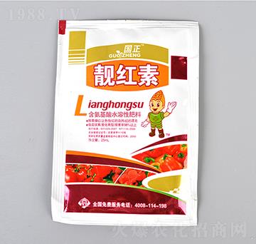 �n�t�أ�����-����-��