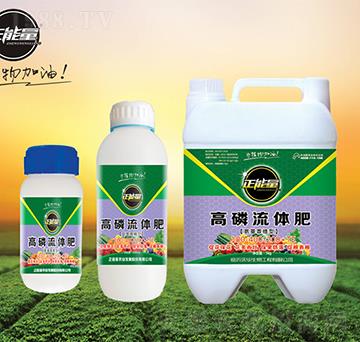 ���������͸������w��-