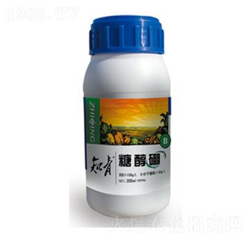 �Ǵ���-֪��-������