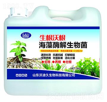 �����ָ�������ø�������-�ֵϾ�