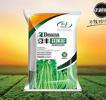 ������f�͛_ʩ��-���S