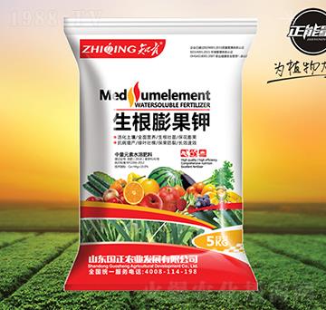 ��������-֪��-����