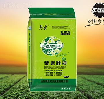 �S�����1+1��n-֪