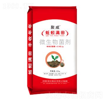 ΢�������-���M��-�����