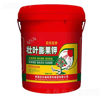 ���~����-��?w��n)|����