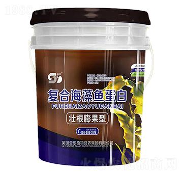 �Ѹ�����͏�(f��)�Ϻ����~(y��)����-��?w��n)|����