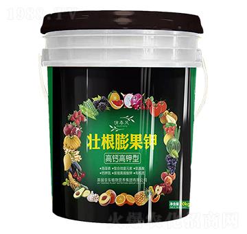 ���}����͉Ѹ�����-��?w��n)|����