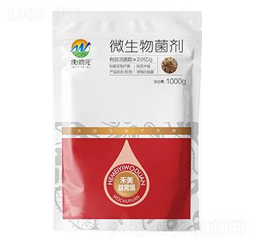 ���x�ֲ�����������-������C��-�ֳ�Ԫ