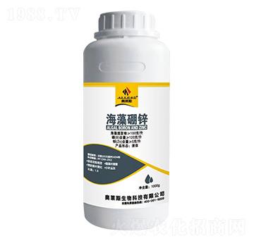 �������\-�W�R˹