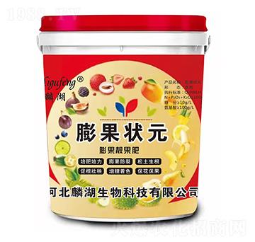 ����n����-�����Ԫ-�������