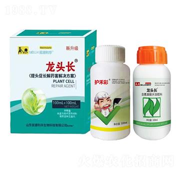 ���^���L(zh��ng)��ˎ����Q����-���^�L(zh��ng)-������A