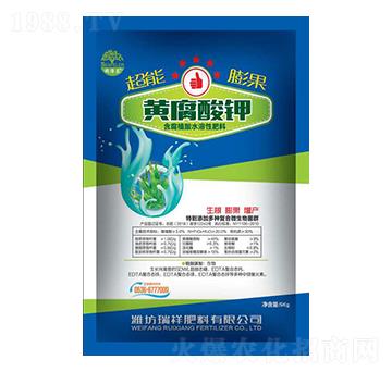 �S�����-�������