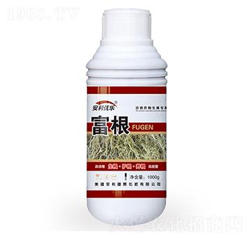 ����-�֠�