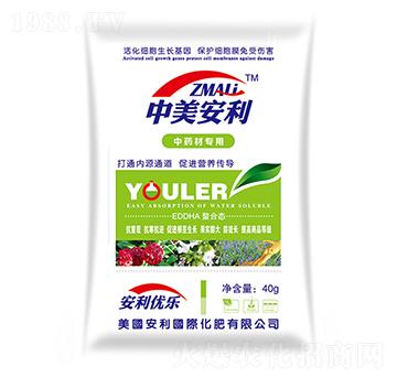 ��ˎ�Č���-�֠�