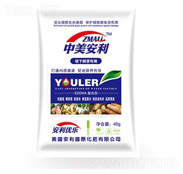 ���¸��o���÷�-�֠�