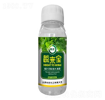 �߁팚-ِ��-�_(t��i)�_(d��)�ʘI(y��)