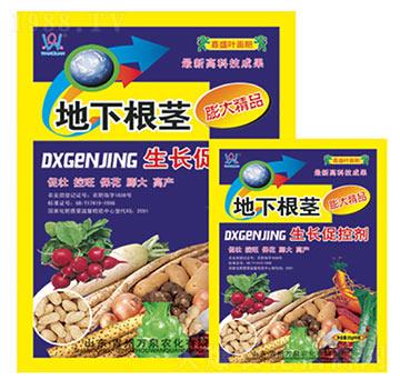 地下根莖生長促控劑-萬泉農(nóng)化