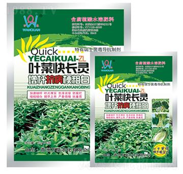 �~�˿��L�`-�fȪ�r(n��ng)��