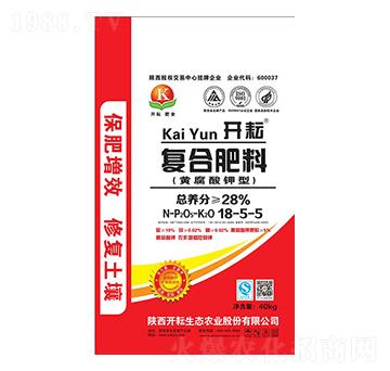 �S������͏�(f��)�Ϸ���18-5-5-�_��