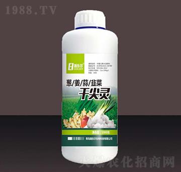 �[����²˸ɼ��`-嫘���