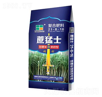 �ͺϷ���21-8-16-����ʿ-����