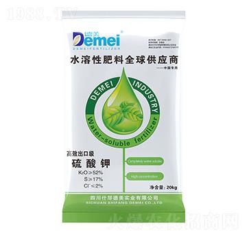 ����⛣�SOP��-�������I(y��)