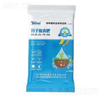 ���ӷ����21-21-21+TE+HA-�������I(y��)