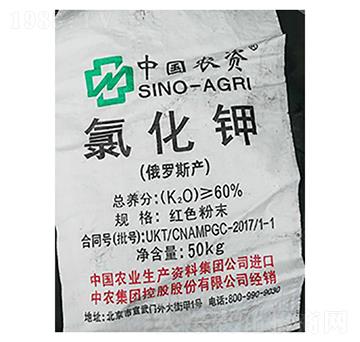 �Ї��r(n��ng)�Y���Ȼ�⛣��tɫ��ĩ��-¡���r(n��ng)�Y