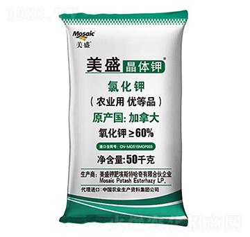 ��ʢ�ƾ��w�-¡���r�Y