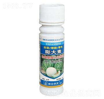 ���ϡ���ό�(zhu��n)��-���������-����ʘI(y��)