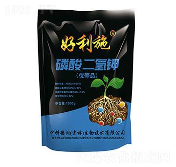 ��������-��(r��n)�ʘI(y��)