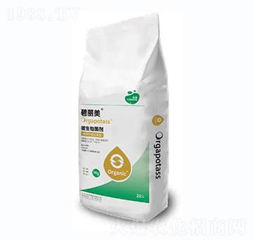 ΢�������-������-��������