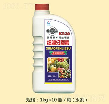 ���徫Ʒ��(x��)��������-�f(w��n)Ȫ�r(n��ng)��