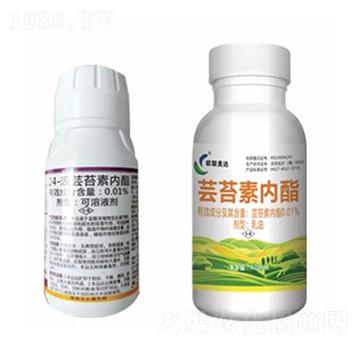 �|̦�؃�(n��i)֬-�W(li��n)���_