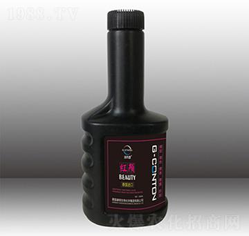 300gG-CONTON���t�-�A����