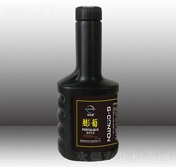 100gG-CONTON������-�A����