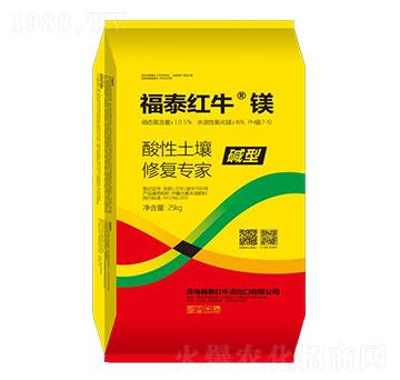 ���������ޏ͌���-��̩�t�����V