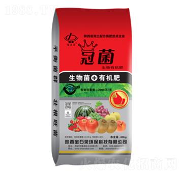 �ھ������ЙC(j��)��-��ʯ�R